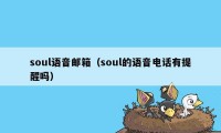 soul语音邮箱（soul的语音电话有提醒吗）