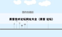 黑客技术论坛网址大全（黑客 论坛）