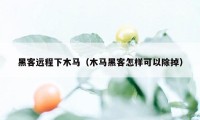 黑客远程下木马（木马黑客怎样可以除掉）