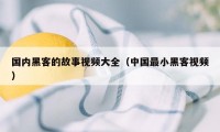 国内黑客的故事视频大全（中国最小黑客视频）