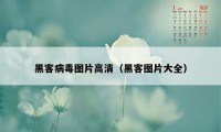 黑客病毒图片高清（黑客图片大全）