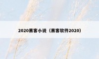 2020黑客小说（黑客软件2020）