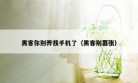 黑客你别弄我手机了（黑客别嚣张）