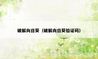 破解向日葵（破解向日葵验证码）