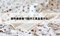 崩坏黑客兔（崩坏三黑盒是什么）