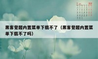 黑客觉醒内置菜单下载不了（黑客觉醒内置菜单下载不了吗）