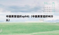 中国黑客组织apt41（中国黑客组织叫什么）