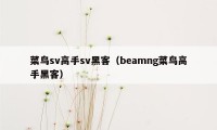 菜鸟sv高手sv黑客（beamng菜鸟高手黑客）