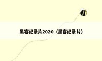 黑客纪录片2020（黑客纪录片）