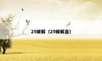 25破解（25破解盒）