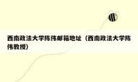 西南政法大学陈伟邮箱地址（西南政法大学陈伟教授）