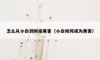 怎么从小白到网络黑客（小白如何成为黑客）