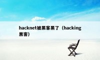 hacknet被黑客黑了（hacking黑客）