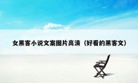 女黑客小说文案图片高清（好看的黑客文）