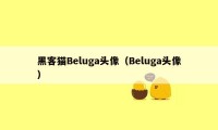 黑客猫Beluga头像（Beluga头像）