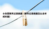 小白菜聊天记录截图（聊天记录截图怎么合并成长图）