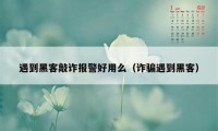 遇到黑客敲诈报警好用么（诈骗遇到黑客）