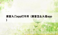 黑客入门app打不开（黑客怎么入侵app）