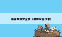 黑客数据安全性（黑客安全技术）