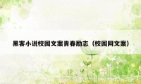 黑客小说校园文案青春励志（校园网文案）