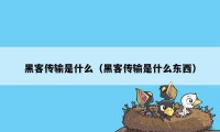 黑客传输是什么（黑客传输是什么东西）